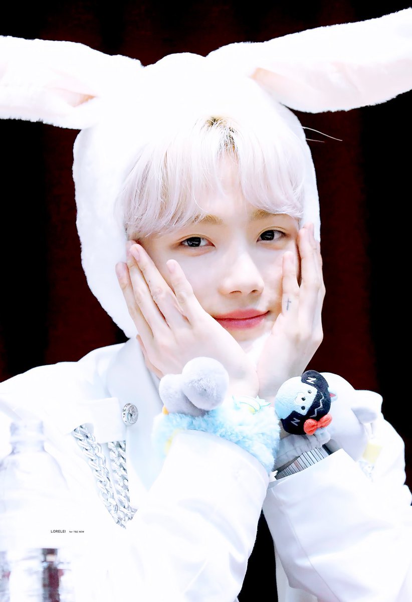 eu0426's tweet photo. 폭신폭신 새하얀 흰토끼 🐰 https://t.co/jxwETgMO4G