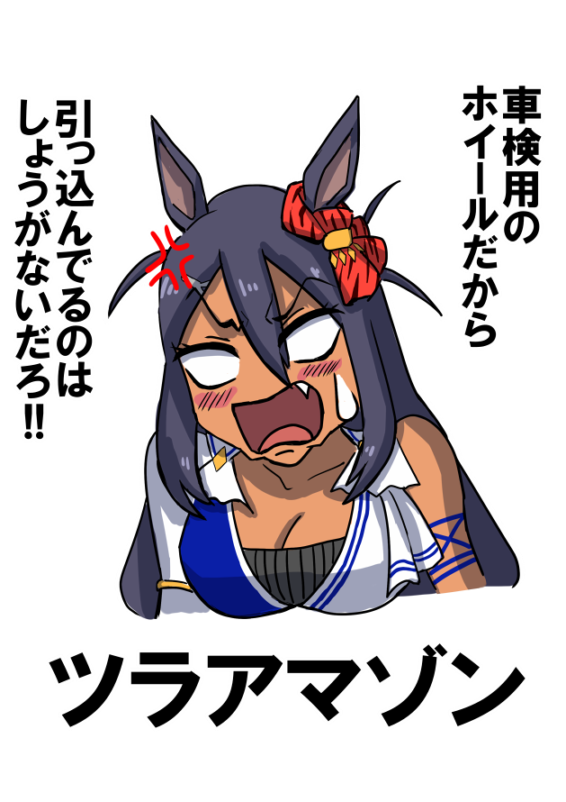 ツラ甘姐さん(背景透過ver) 