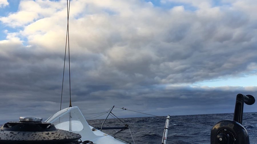 Armel Tripon Skipper tweet media