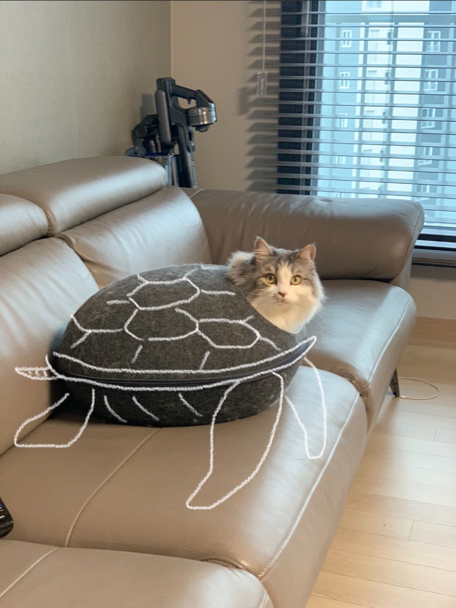 konaisacat's tweet photo. 바닥 청소한다고 잠시 소파 위에 숨숨집 놔뒀더니 🐢 #거북선 #거북이 #Geobukseon #Turtleship #turtles https://t.co/w9hdLjScNz
