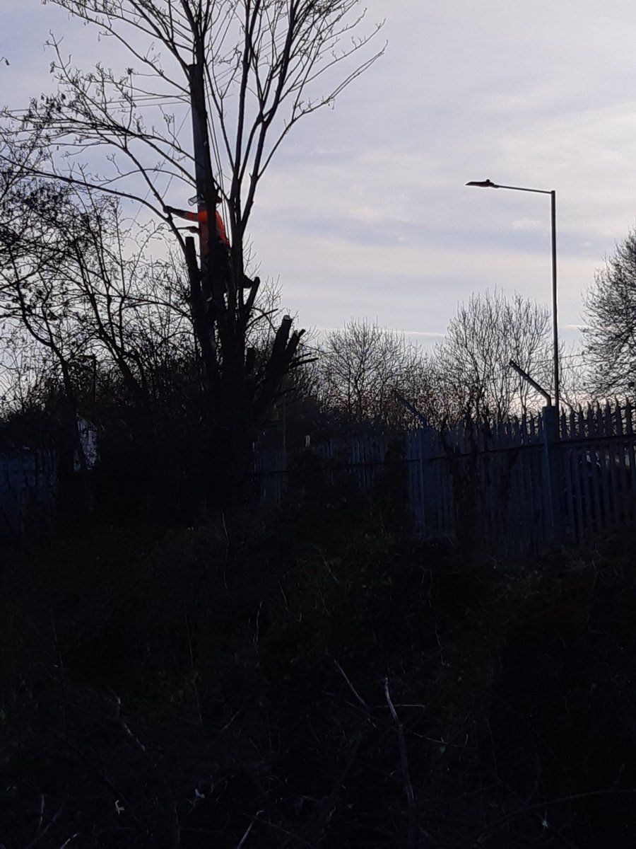 Community Allotments tweet media