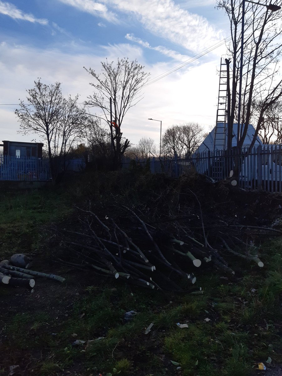 Community Allotments tweet media