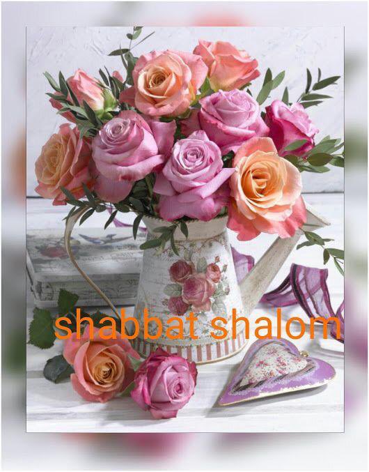 csilvi72's tweet photo. @Nelby37482058 @GondellesRamon @AttiasYehuda @luckaged @LenGrunstein @19Myriam91 @Esther28007 @silvance5555 @_ayeli_ @AlanZionist @Zapi_Maxou @LSoubranne @shlomomeirisra3 @Avneravner2 @russianjewess @J1966C @arontwe #ShabbatShalom Umeborach everyone https://t.co/fkEaN6wsCa
