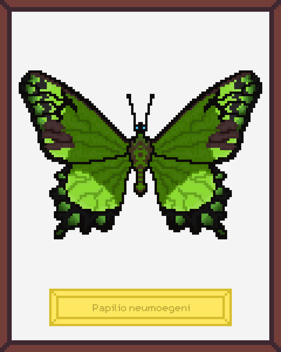 ButterfliesNFTs's tweet photo. @opensea collection of 500 handcrafted real butterflies
https://t.co/NhtOihWmar https://t.co/FNkJJKaSKa