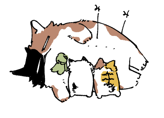 はぴじゃむもといわんにゃん再掲まとめ⑦ 