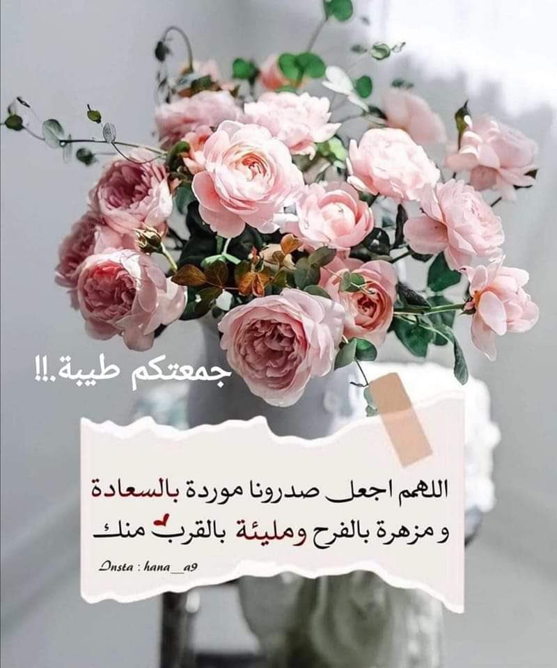 أمل الحمود الصباح (@alshamka77) on Twitter photo 