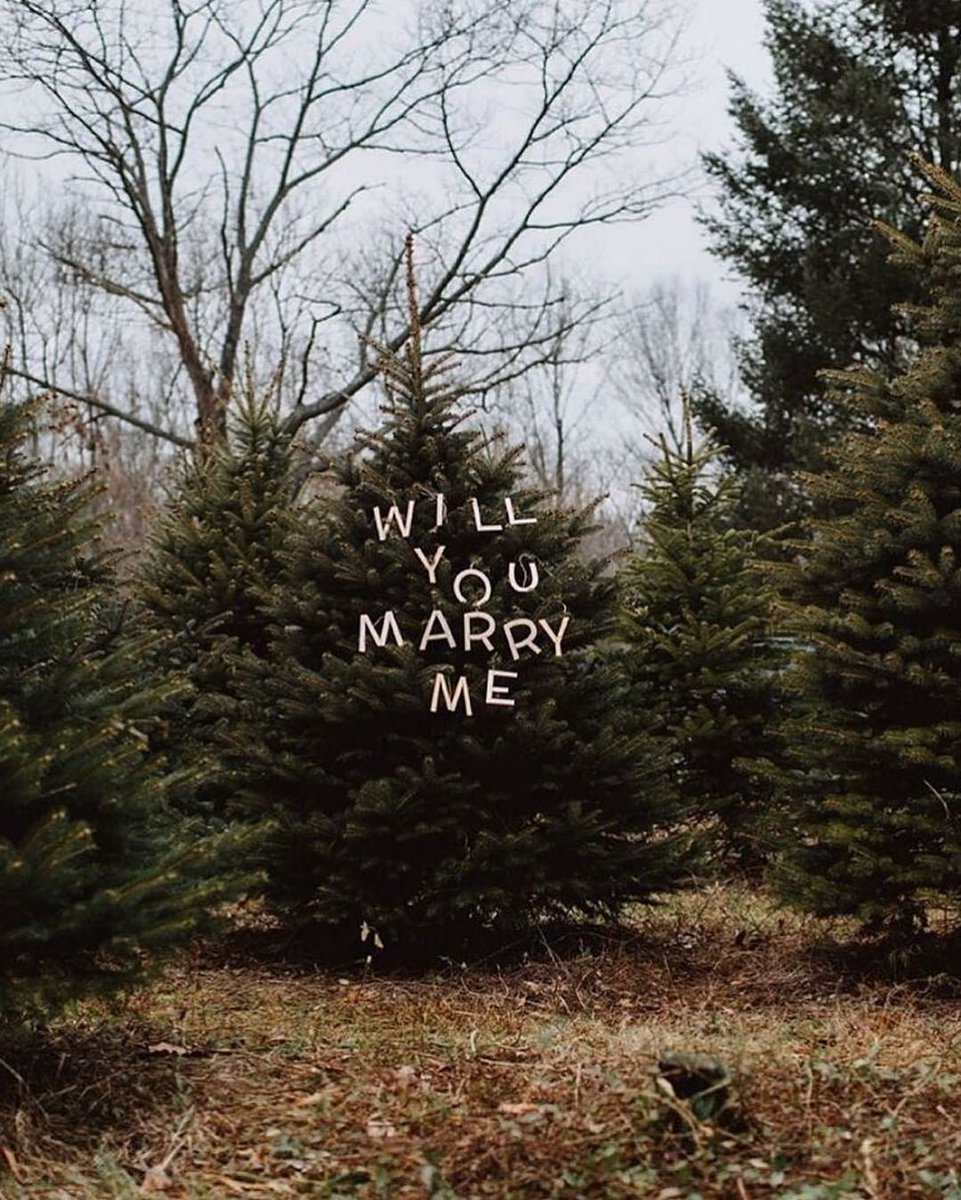 Tis the season... To get ENGAGED 🌲 + 💍 = 💕
We love December and all the awesome proposal stories! How did you get engaged?

thecelebrantdirectory.com
#engagementseason #engaged #proposal