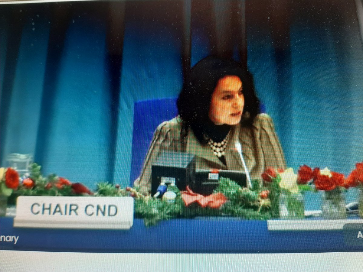 PLinUN_Vienna's tweet photo. The #CND64 has come to a successful end. It was the first time the ๐ต๐ฑ Polish representative chaired this body. We thank for all the support received over the past year! @CND_tweets @UNODC https://t.co/AHb2xTSYnl