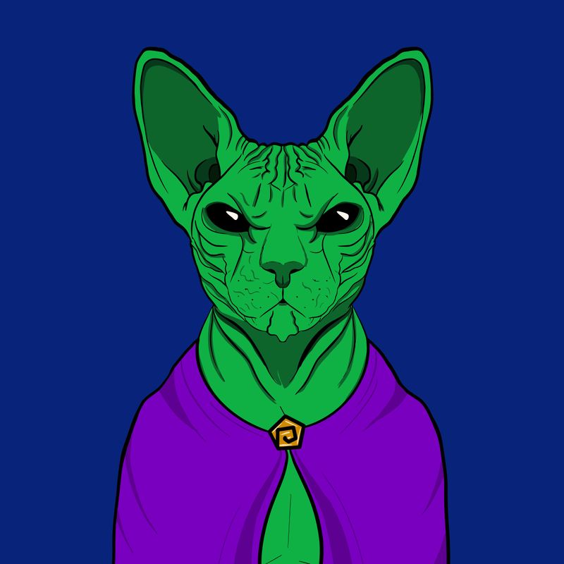 Sphynx Club tweet media