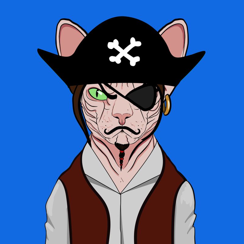Sphynx Club tweet media