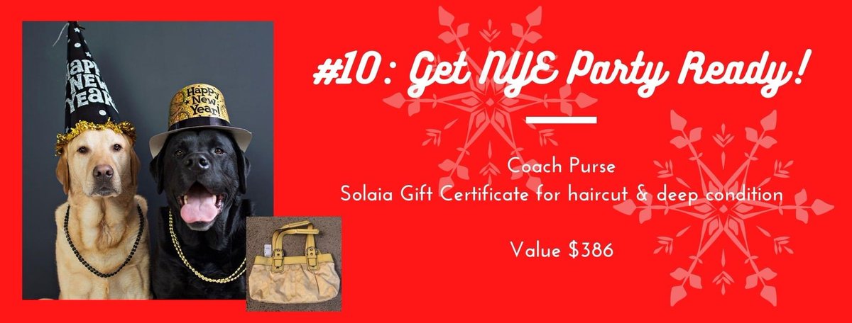 NaperHumane's tweet image. LOOKING FOR THAT PERFECT GIFT? WANT TO HELP NAHS? Participate in our 12 days of Raffle! The holiday raffle runs from Dec. 1-12 &amp;amp; raffle tickets are $5/each. 
Raffle Prize #10: Get NYE Party Ready

Purchase tickets &amp;amp; check out all the prizes here: naperhumane.org/events-calenda…