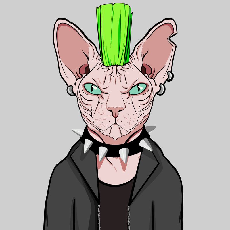 Sphynx Club tweet media