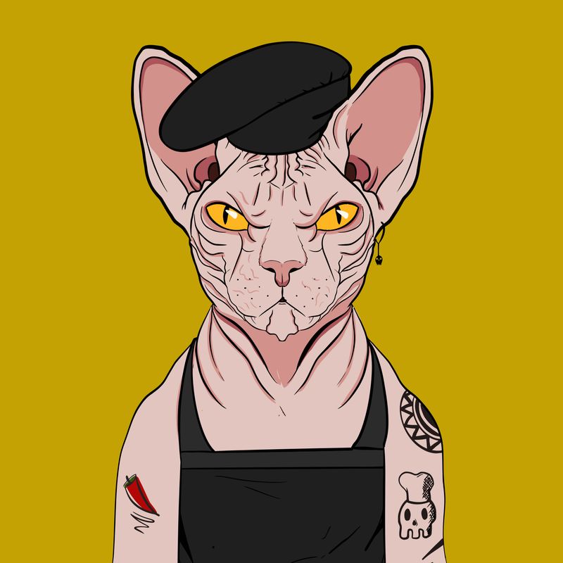 Sphynx Club tweet media