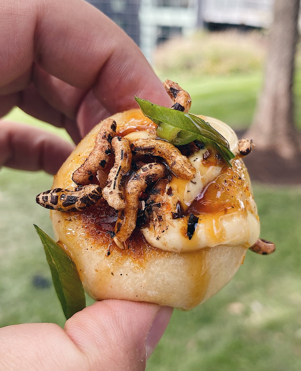 Did you know dumplings are the OG of on-the-go food?  Manti are believed to have originated with the Mongols, who by the late 13th century conquered a sizable amount of Asia and Eastern Europe (thanks to these snacks)!