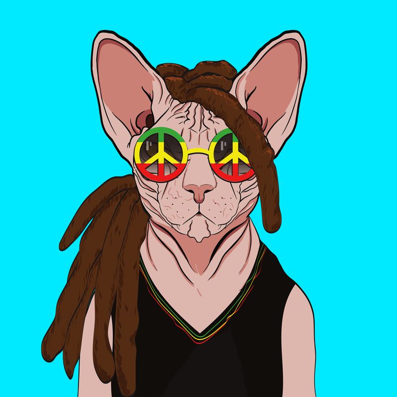 Sphynx Club tweet media