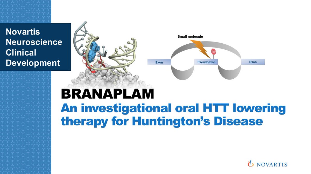 LirhOnlus's tweet photo. Very excited to learn that the #VibrantHD phase 2/b clinical trial for #huntingtondisease has just started in Europe. Branaplam is the first #loweringmHtt molecule to be administered orally. #Italy is going to start soon.
@Ferdi_Squitieri @operapadrepio 
#hdresearch #hopeforHD https://t.co/pyk8bZMn48