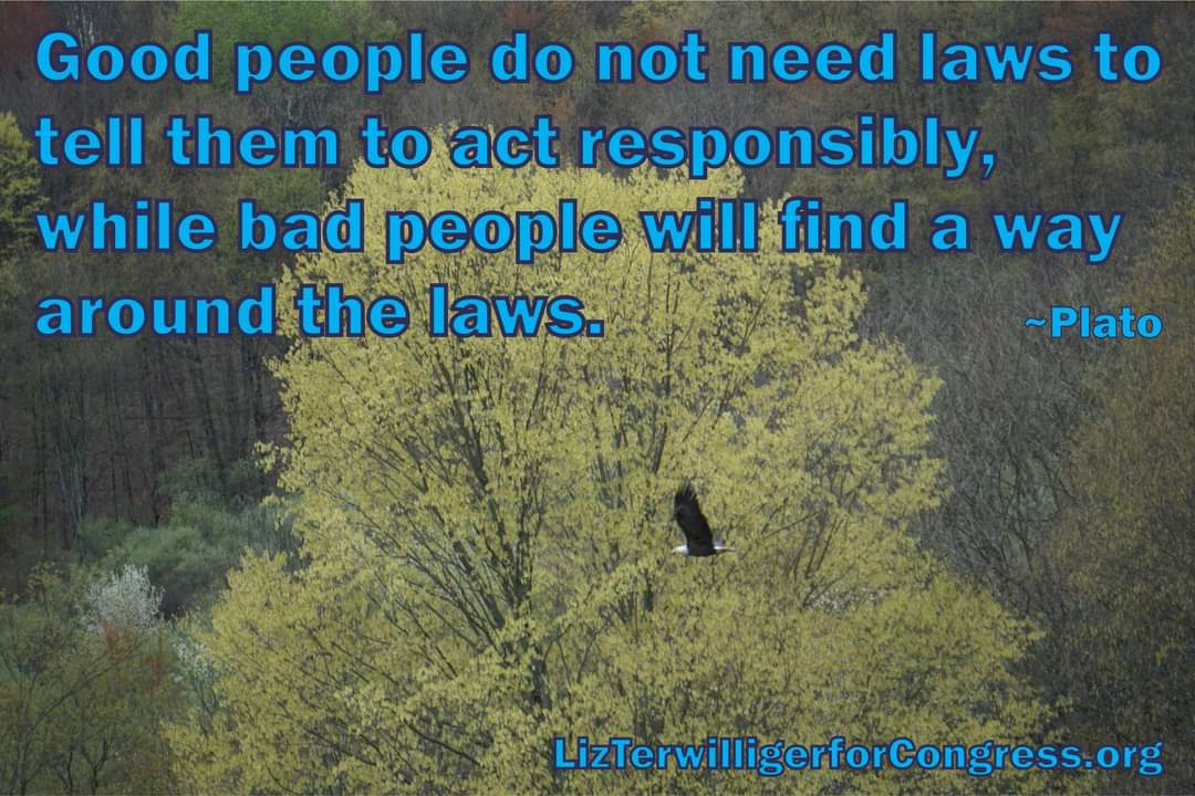 LizT4Congress's tweet photo. Good people do not need laws to tell them to act responsibly,
while bad people will find a way around the laws. - Plato
#FewerLawsMoreFreedom #PersonalResponsibility #lt4c https://t.co/Je9fONqbOJ