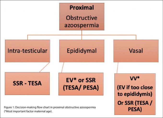 Uro_News's tweet photo. "Approx 15% of couples are infertile in Europe"
In this article for the excellent #FertilityFocus supplement > https://t.co/qdNi28Ch61 @raveen_sandher & @MajShabbir
discuss correctable causes of obstructive azoospermia. https://t.co/dYltodqUaA