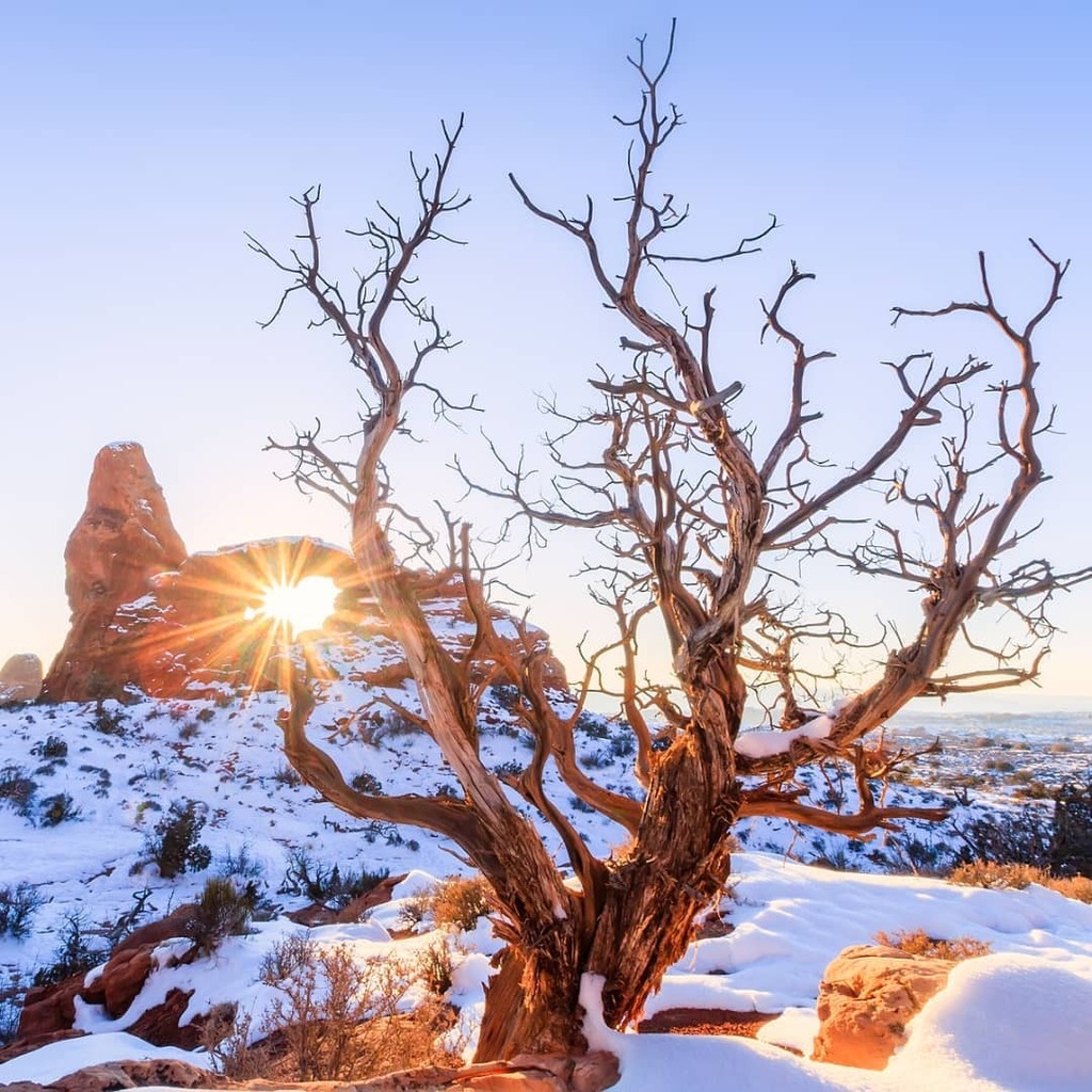 RLDphoto's tweet photo. Tree, Turret arch, Sun heart!
#turretarch #archesnationalpark #snow #redrock https://t.co/dszRA8FiV9 https://t.co/Tb8fp35RuH