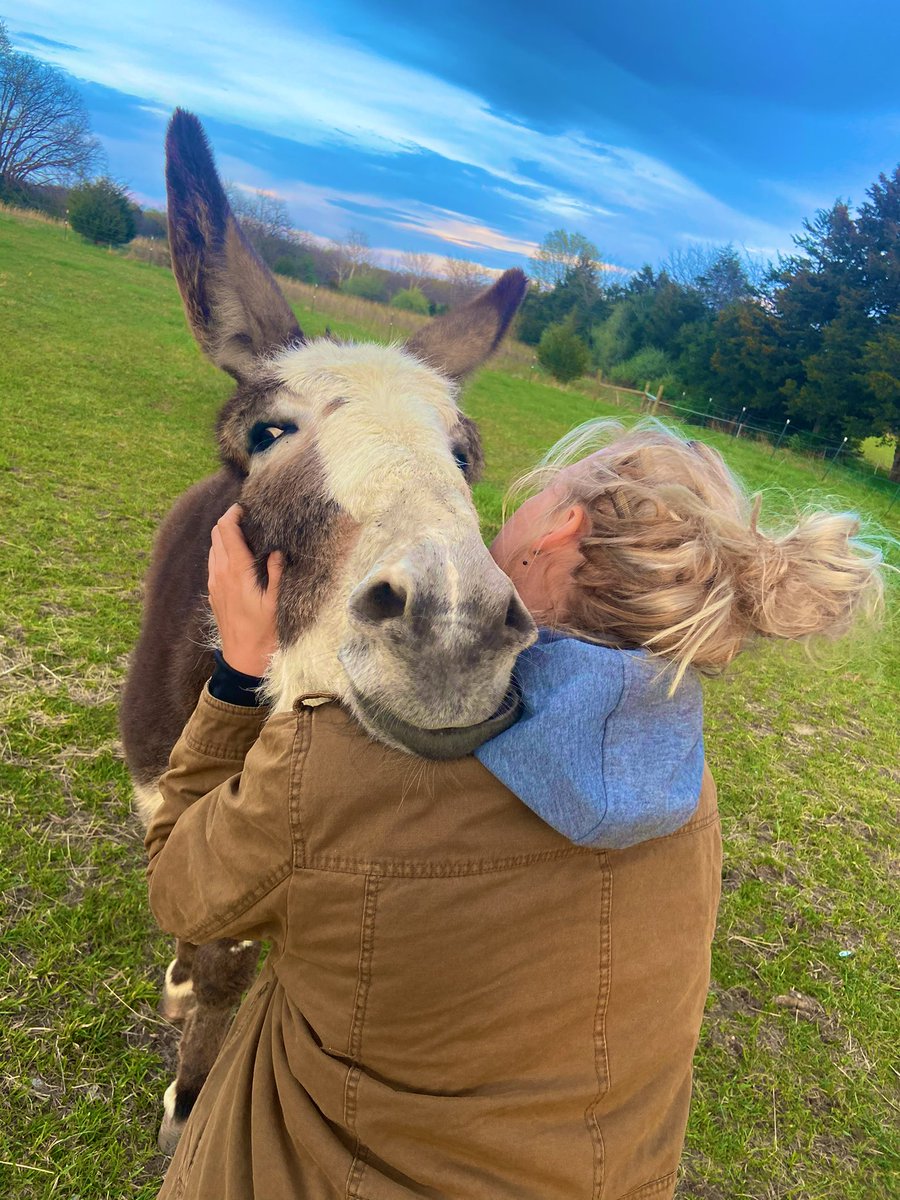 sophaller's tweet photo. got excited that the W schedule came out but then got confused cause I don’t know what team’s schedule to look at… el oh el to free agency so I’ll just post a picture of my donkey, Mark! https://t.co/kM0D4hDAus