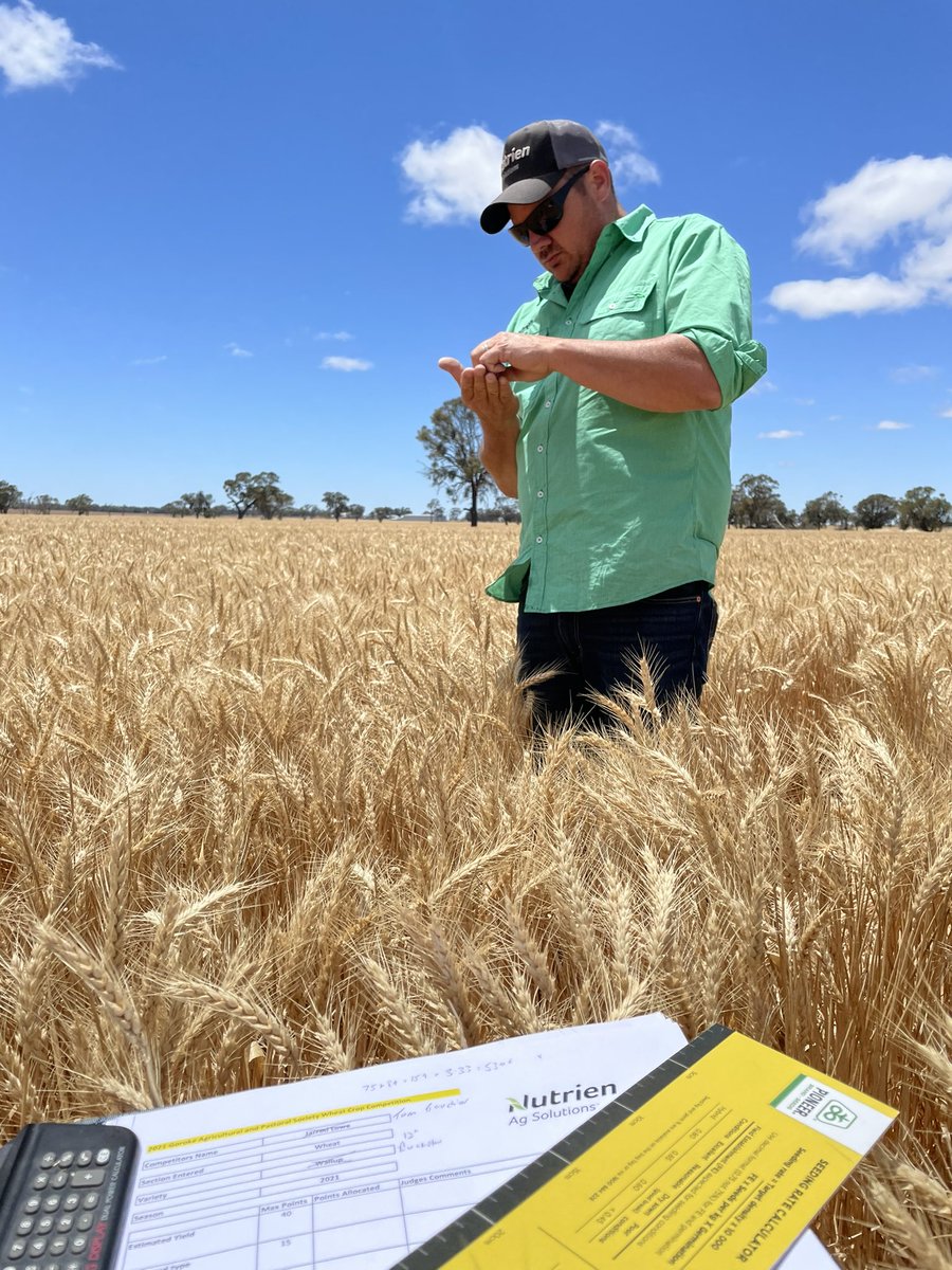 Simon Severin tweet media