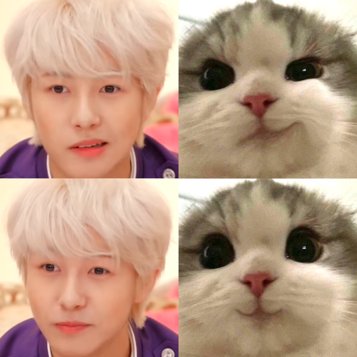 renjun_cat's tweet photo. #RENJUN #런쥔 #仁俊 #ロンジュン #renjun_cat https://t.co/2PAZJNNRrq