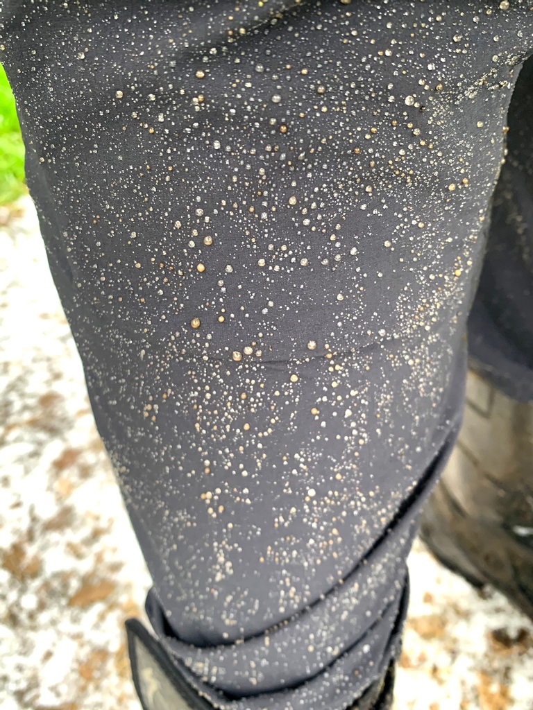 ADVNTR.cc tweet media