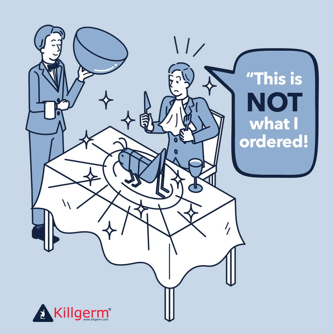 Killgerm's tweet photo. Good morning, dad joke alert...
I went to an all insect restaurant, but their service was quite terrible. Apparently fly-tipping isn't allowed.
#killgerm #chemunity #dadjokes https://t.co/bG5asTbF6T