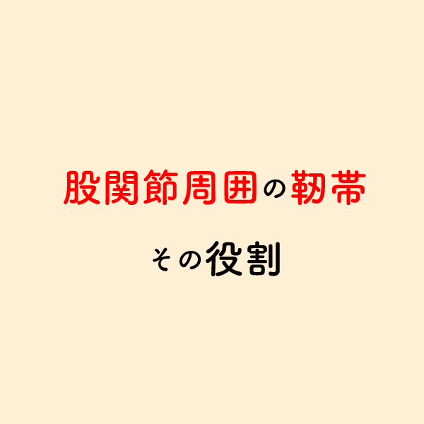riha_note's tweet photo. 股関節の動きを制限する靭帯💡

股関節治療で押さえておくべき基本的内容です。
この役割を理解して関節の動きを誘導する必要があります。 https://t.co/tklQuD6EdW