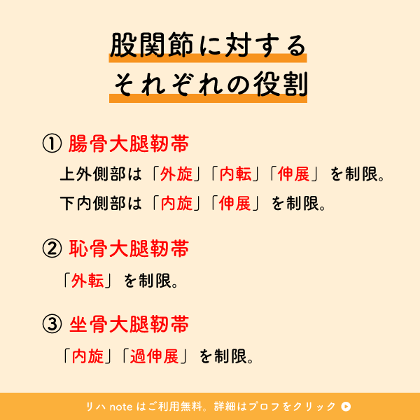 riha_note's tweet photo. 股関節の動きを制限する靭帯💡

股関節治療で押さえておくべき基本的内容です。
この役割を理解して関節の動きを誘導する必要があります。 https://t.co/tklQuD6EdW
