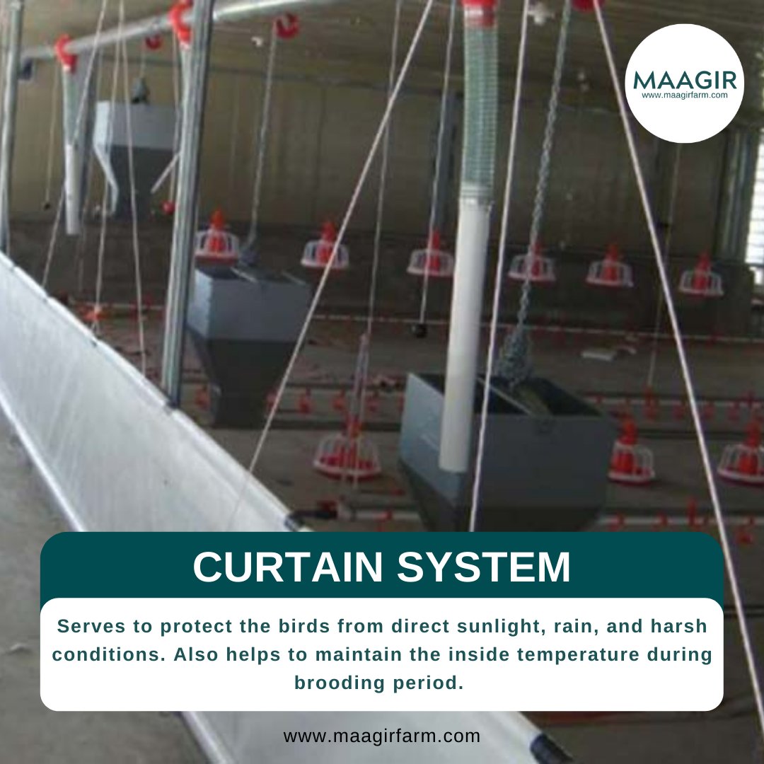 maagirfarm's tweet photo. The Slatted Broiler House can house 36,000 – 40,000 birds in a tunnel ventilated house designed with an automatic feeding and drinking delivery system
🌐 https://t.co/d6LDczzpGP
📞 (+632) 8354 - 5988
📞 (+63) 917 - 8127 - 702
📧 info@maagirfarm.com
 #agribusiness #CCS #tunnelvent https://t.co/IwJMD45mMX