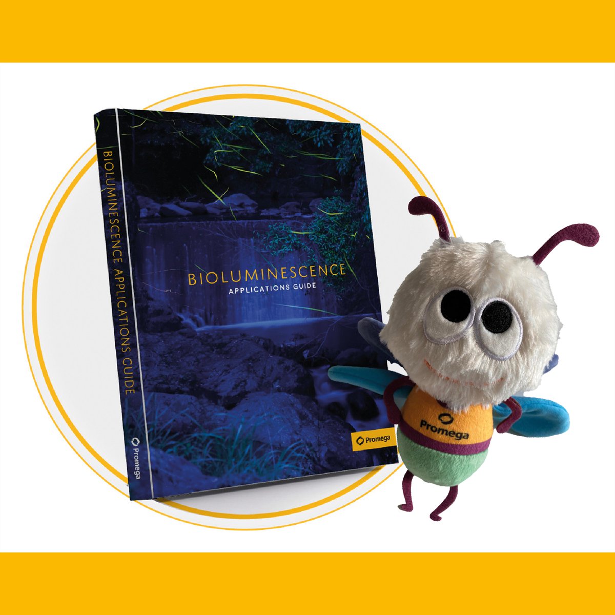 promegauk's tweet photo. Are you using Real-Time assays in 3D cell cultures?  We’re interested to hear what your applications are!

Comment below by 16th December to be entered into a free draw to win a Bioluminescence Application Guide and a Lumie (UK Only. No purchase necessary)

#LabChat #3CellCulture https://t.co/DHfvPa5HSF