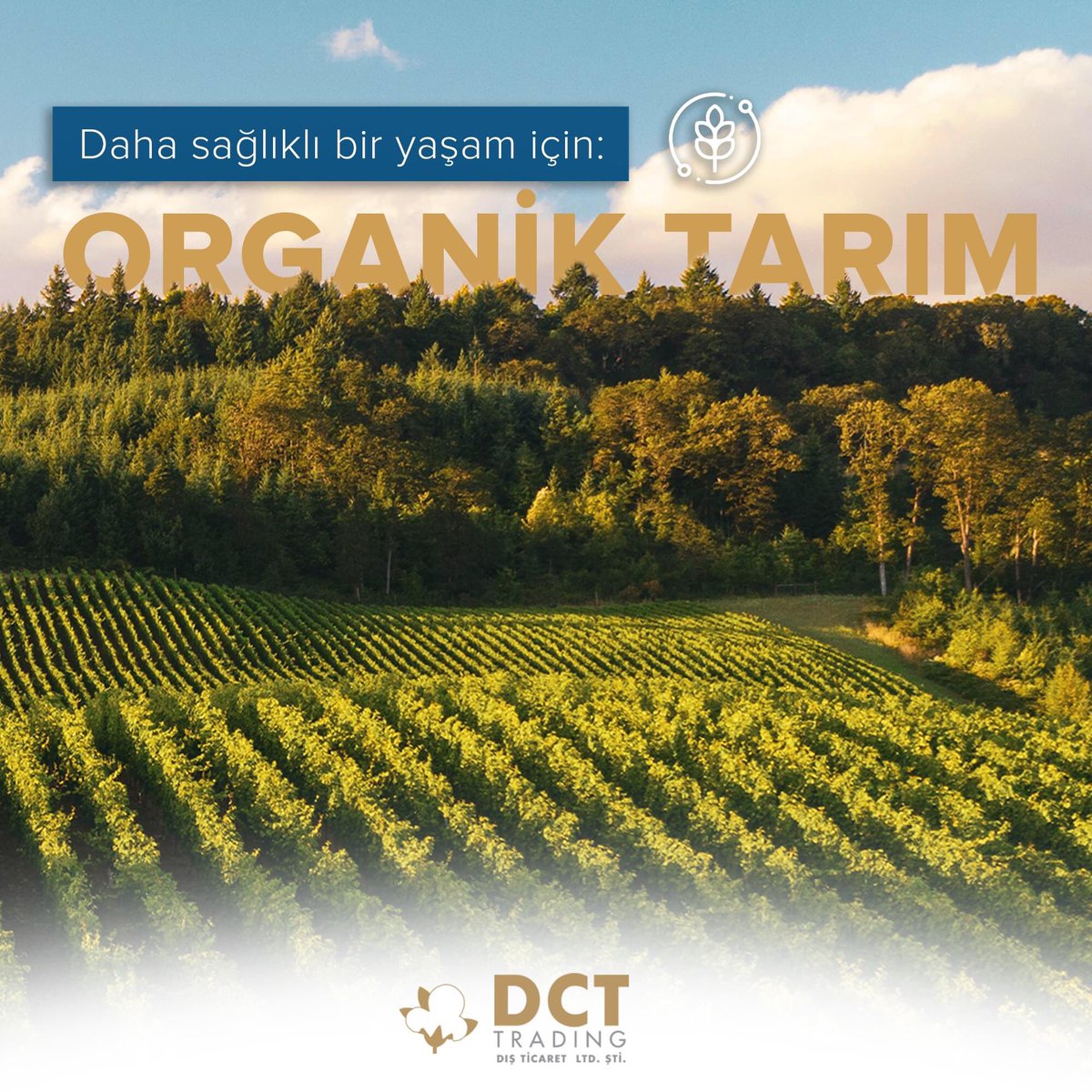 DctTrading's tweet photo. Organik tarım, toprağa, suya, çevreye ve insan sağlığına zarar verebilecek kimyasal maddelere maruz kalmamıza engel olarak hem bizi, hem de ekosistemizi korur. https://t.co/0lJKWc7fqz