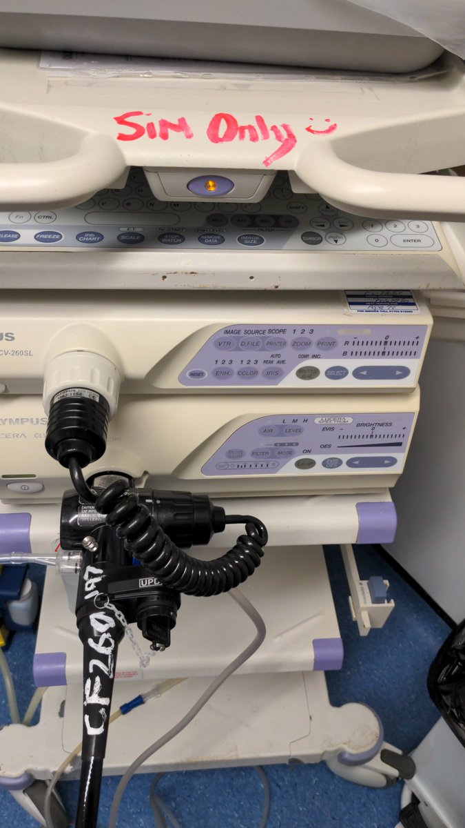Amelia Thorpe (@ameliathorpe15) on Twitter photo Good morning from <a href="/nuhendoscopy/">Endoscopy NUH</a> and <a href="/trentsimulation/">Trent Simulation</a>! Our first esd training session on animal models. <a href="/KtHowick/">Katie Howick</a> 's handiwork amazing as usual. Thank you everyone for your help! <a href="/alisonball1907/">alison ball</a> <a href="/AParraBlanco/">Adolfo Parra-Blanco</a> <a href="/Sheep_child/">Paul Knight</a> #esd #Endoscopy #simulation #Endoscopytraining Good morning from <a href="/nuhendoscopy/">Endoscopy NUH</a> and <a href="/trentsimulation/">Trent Simulation</a>! Our first esd training session on animal models. <a href="/KtHowick/">Katie Howick</a> 's handiwork amazing as usual. Thank you everyone for your help! <a href="/alisonball1907/">alison ball</a> <a href="/AParraBlanco/">Adolfo Parra-Blanco</a> <a href="/Sheep_child/">Paul Knight</a> #esd #Endoscopy #simulation #Endoscopytraining
