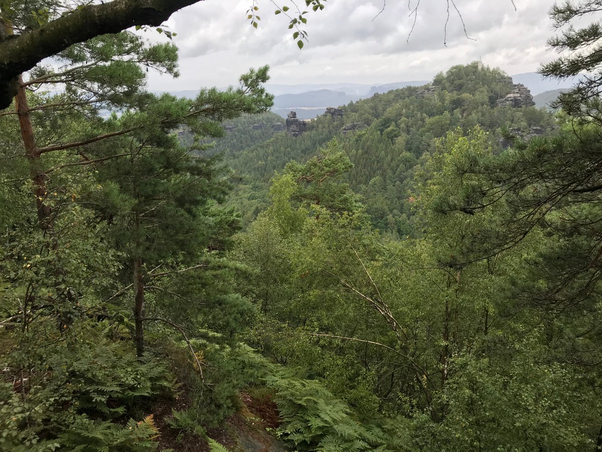 Forstler1's tweet photo. 6/10 Die Rundumsicht vom #Gohrischstein ist genial. Nach Osten der #Papststein. Links davon der Fels #Hunskirche, links angeschnitten der #Kleinhennersdorfer Stein. https://t.co/934Yui1AYu