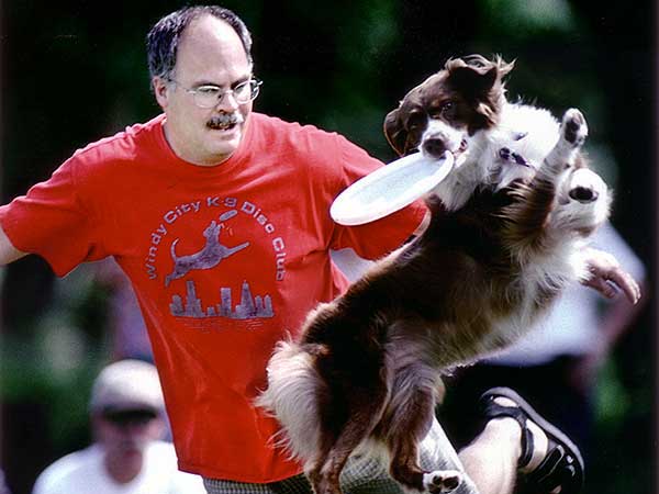 australian shepherd frisbee