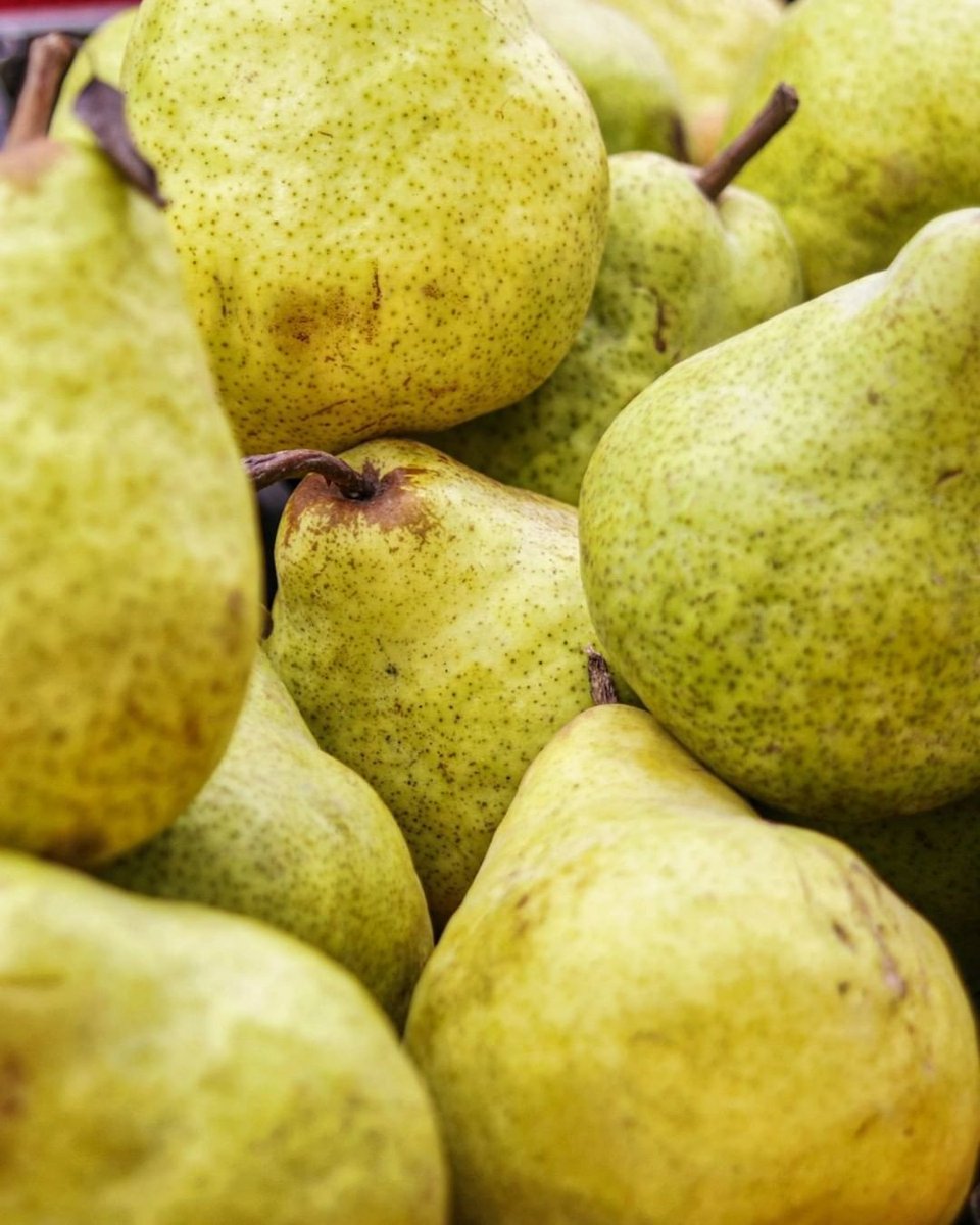 abitfarm's tweet photo. To wrap up the weekend, let's do a Quiz.
Yes😁😁😁
Can you guess which region is the largest producer of pears? 🍐
1. Africa⠀⠀⠀⠀
2. Americas⠀⠀⠀⠀
3. Asia⠀⠀⠀⠀
4. Europe
5. Oceania
📷: ©FAO/Max Valencia
#Abitfarm
#abitnetwork
#IYFV2021 #FruitsVegYear https://t.co/M5DetkJhc2