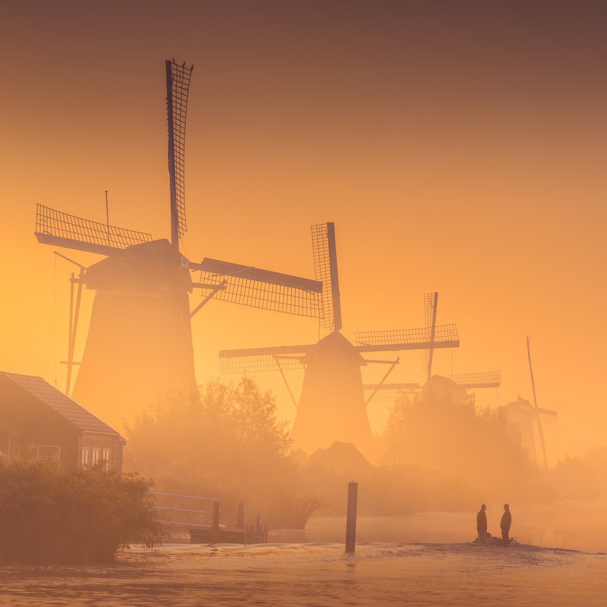 albertdrosphoto's tweet photo. How the world thinks Dutch people go to work: https://t.co/gCq8tWumhz