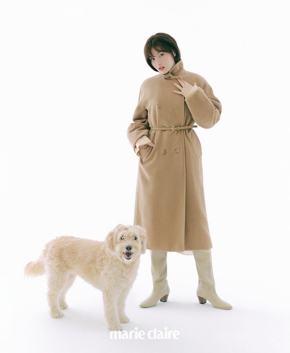 KIMDEMl's tweet photo. ⠀
⠀
⠀⠀Minimalistic rain of shades really brings the
⠀⠀spotlight to another state of art, an erudite
⠀⠀trick to play with 2 hues and a cute hound.
⠀
⠀ https://t.co/h6jdeJb9MP