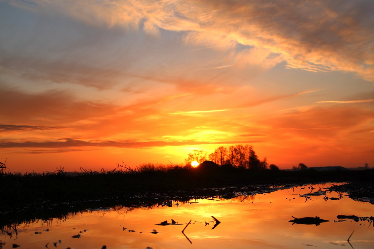 meijer1970's tweet photo. Vanochtend Schitterende zonsopkomst bij Wildervanksterdallen https://t.co/m6neCj1jrG