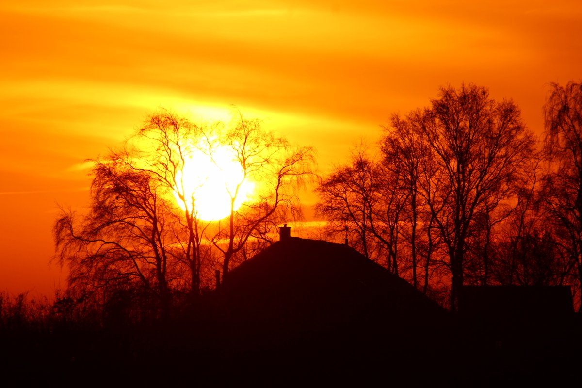 meijer1970's tweet photo. Vanochtend Schitterende zonsopkomst bij Wildervanksterdallen https://t.co/m6neCj1jrG