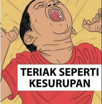 sky tweet media