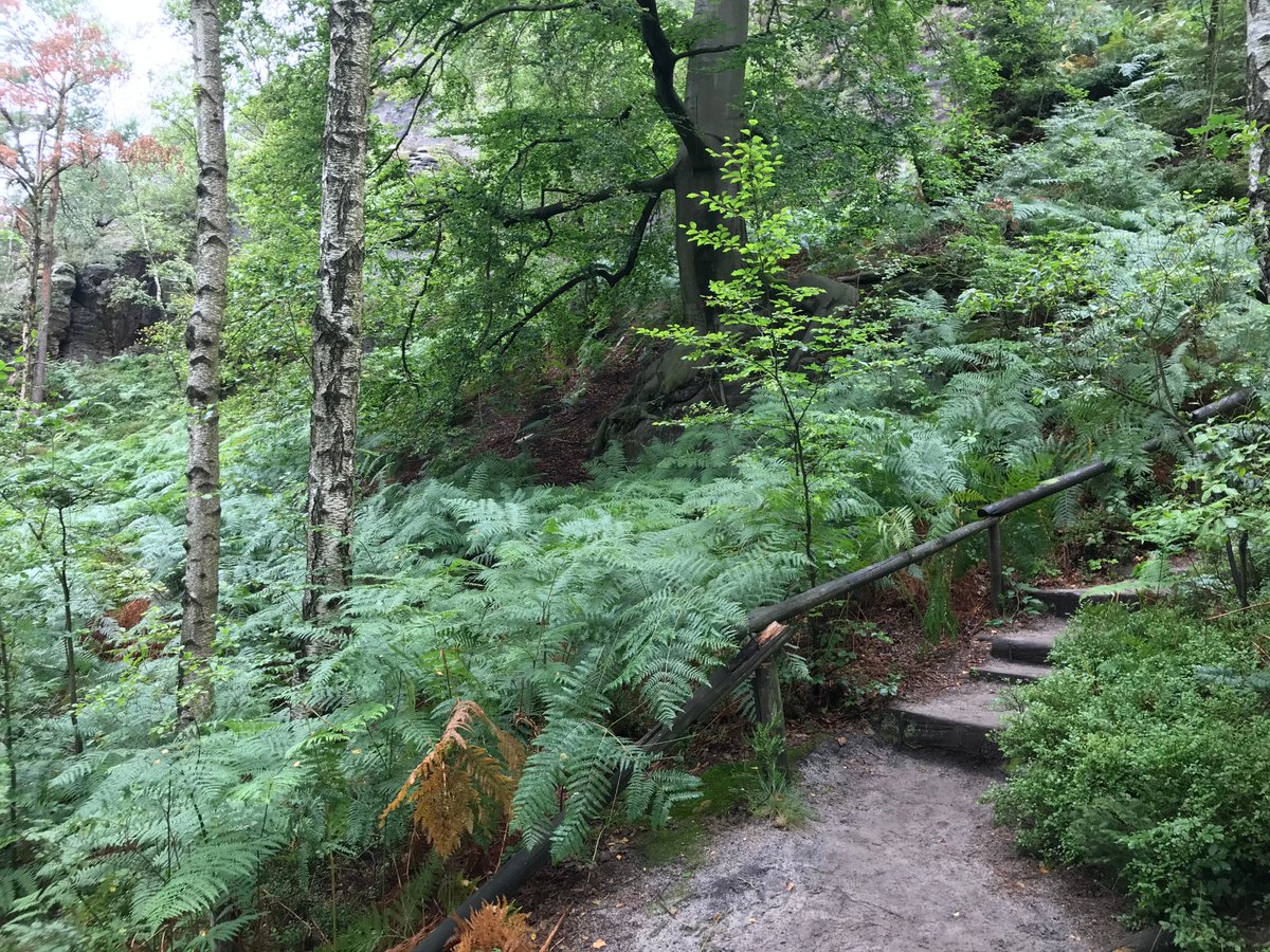 Forstler1's tweet photo. 10/10 Der #Gohrischstein liegt hinter uns, der #Papststein wartet. https://t.co/Pod6yyuv2X