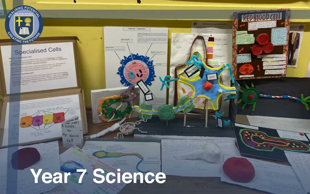 fulfordschool's tweet photo. Here's another pic from #Year7 Science. They have been studying cells for a recent home learning project and had to make a selection of models. Here are some of their excellent creations #fulfordschool #cells #y7science https://t.co/rmPFAOgXEH