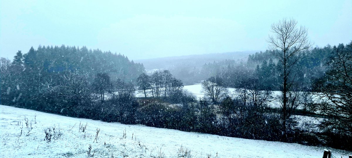 DruartStacy's tweet photo. Photography is the art of showing how life is made up of fleeting moments. #photo #snow #landscape #tree #sky #forest #belgium 

La photographie est l'art de montrer à quel point la vie est faite d'instants éphémères. #photo #neige #paysage #arbre #ciel #forêt #belgique #ardenne https://t.co/AOw7dtrLSO