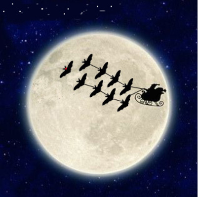 _BCT_'s tweet photo. A seasonal reminder that there is only one type of mammal that can truly fly. While the 1400+ bat species found across the world are all unique, this is one characteristic that they all share. https://t.co/JrCQzJyzuk #lovebats ❤️🦇🎄🎅 https://t.co/RBiUfvkfXe
