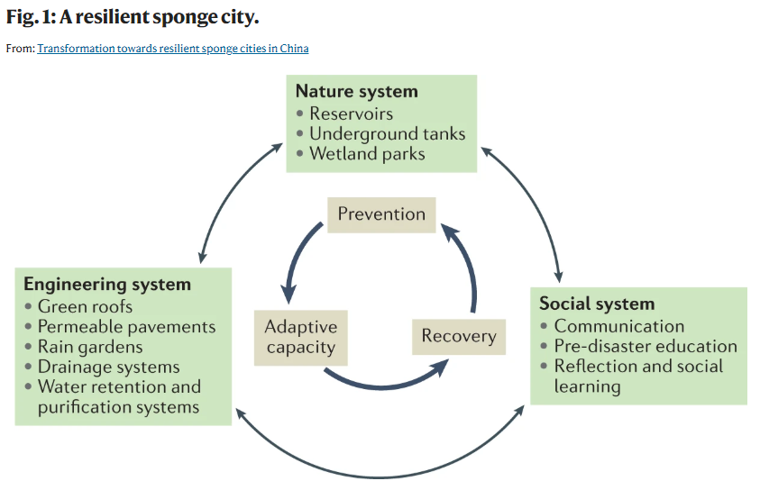 NatRevEarthEnv's tweet photo. China’s Sponge City Program integrates green–grey–blue infrastructure for sustainable urban-water governance, but recent flooding questions its efficacy

Going forward, resilient sponge cities are needed that synergise social–natural–engineering solutions

https://t.co/l6QZZGqcVn https://t.co/7ew9W1o7H3