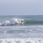 ツイートに含まれる画像