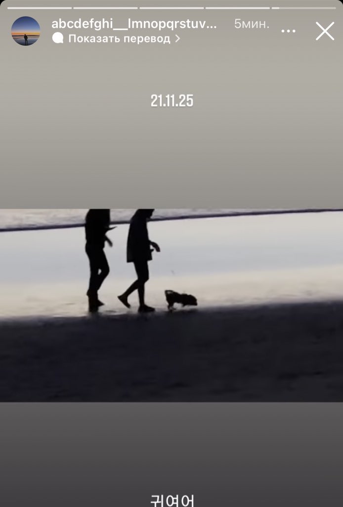 Jimsaranhe's tweet photo. #JUNGKOOK
Чонгук: закинул видео,на которое попали очень везучие девушки 
Я: расстроен ли я,что вы,я нет…ну слегка https://t.co/Ntu9oximGS