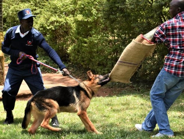 MofaSecurity's tweet photo. At the end of the day, the goals are simple: safety and security. https://t.co/MK0bxubvFw